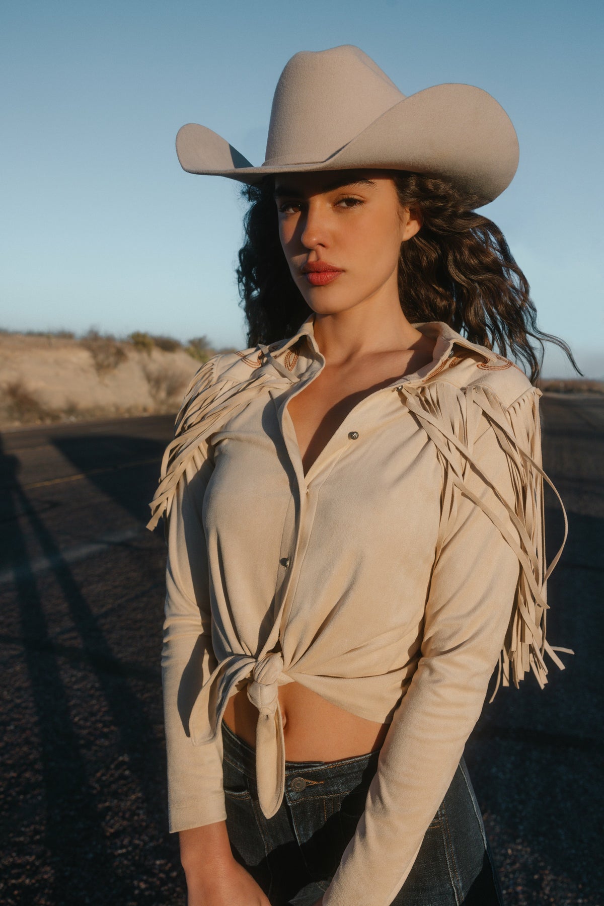 Idyllwind Fringe Embroidered Long Sleeve Button-Down Western Shirt